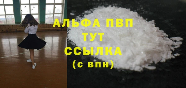 эйфоретик Богданович