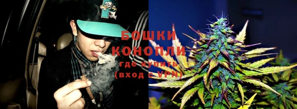 шишки Богородск
