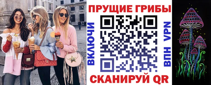 магазин продажи наркотиков  Первомайск  Галлюциногенные грибы мицелий 